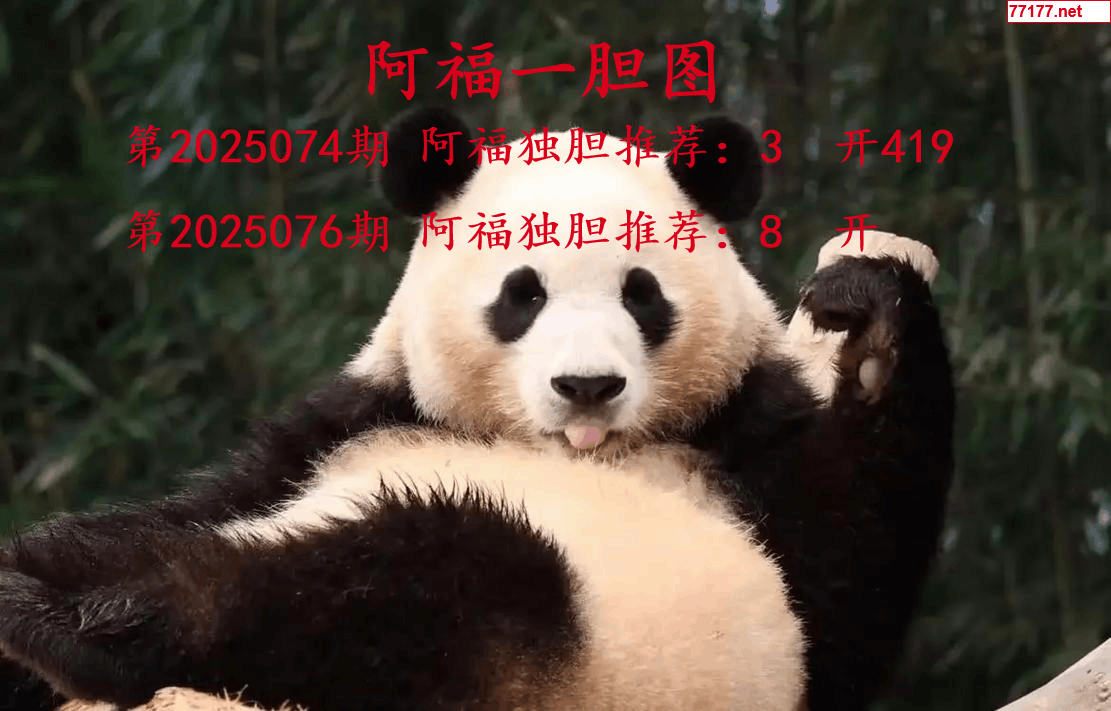 阿福图25年076期3d阿福一胆图