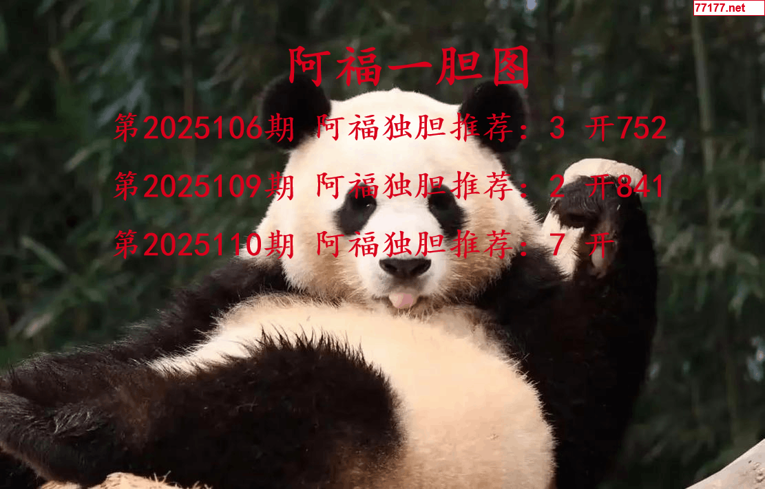 阿福图25年110期3d阿福一胆图