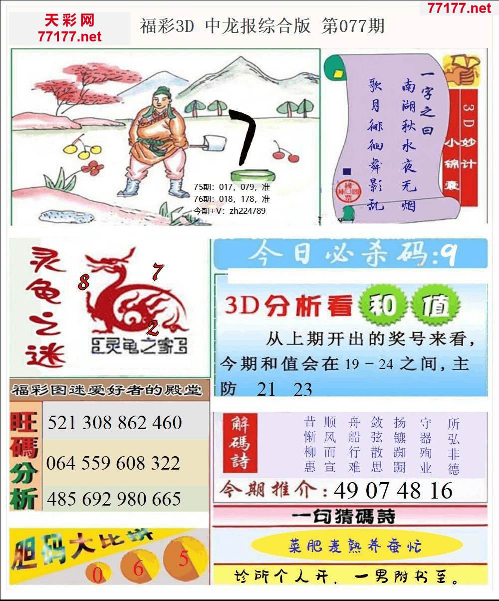 25年077期3d中龙快报全图精华版本