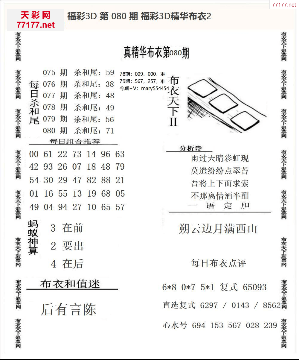 25年080期3d精华布衣图