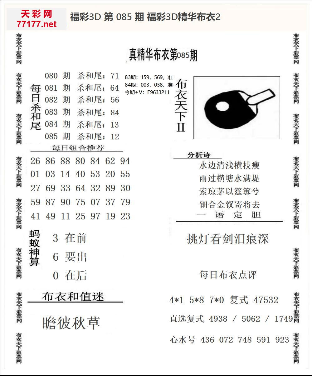 25年085期3d精华布衣图