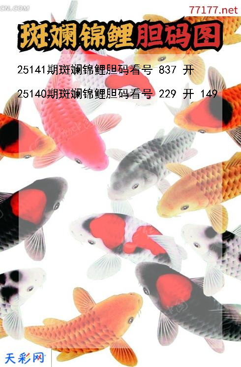 第25140期3d斑斓锦鲤胆码图