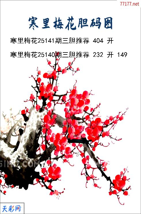 d寒里梅花第25140期胆码图