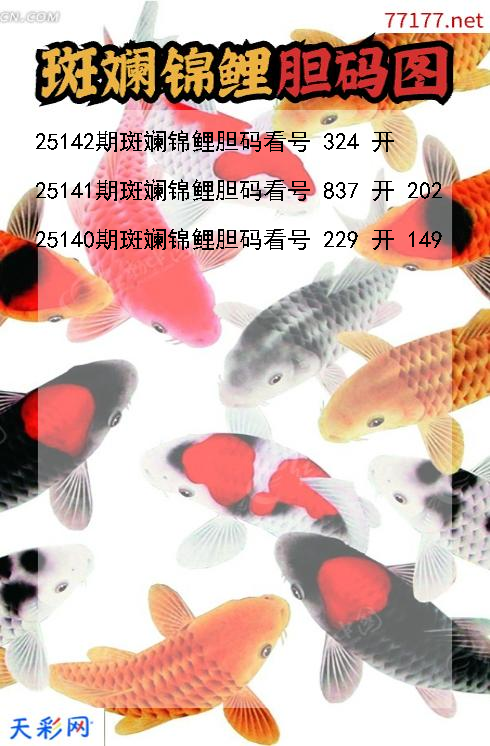 第25141期3d斑斓锦鲤胆码图