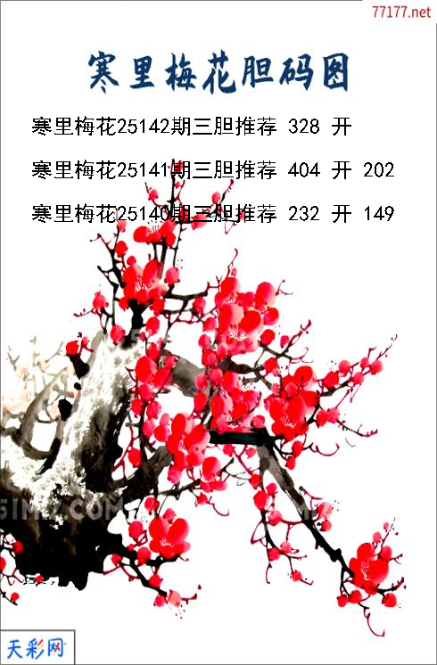 d寒里梅花第25141期胆码图