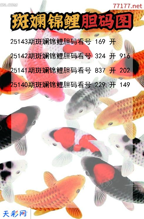 第25142期3d斑斓锦鲤胆码图