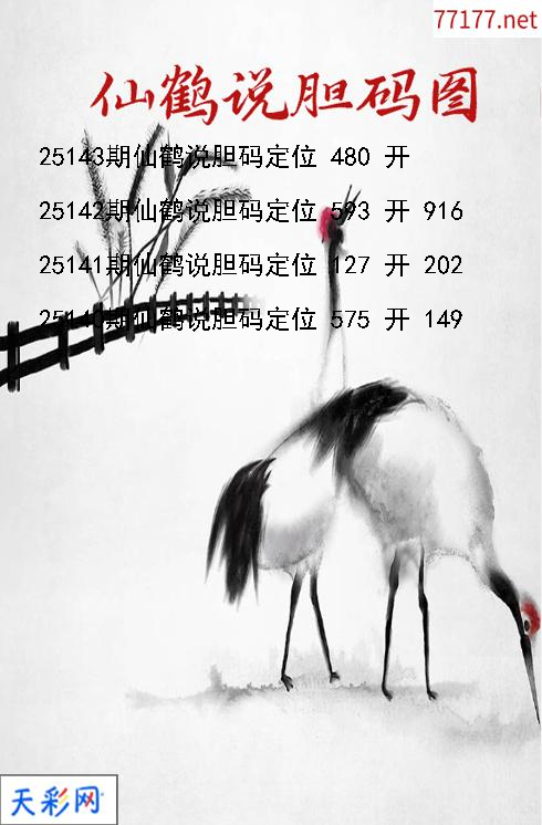 3d第25142期仙鹤说胆胆码图