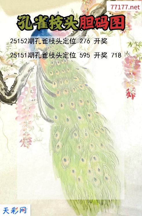 第25151期3d孔雀枝头胆码图