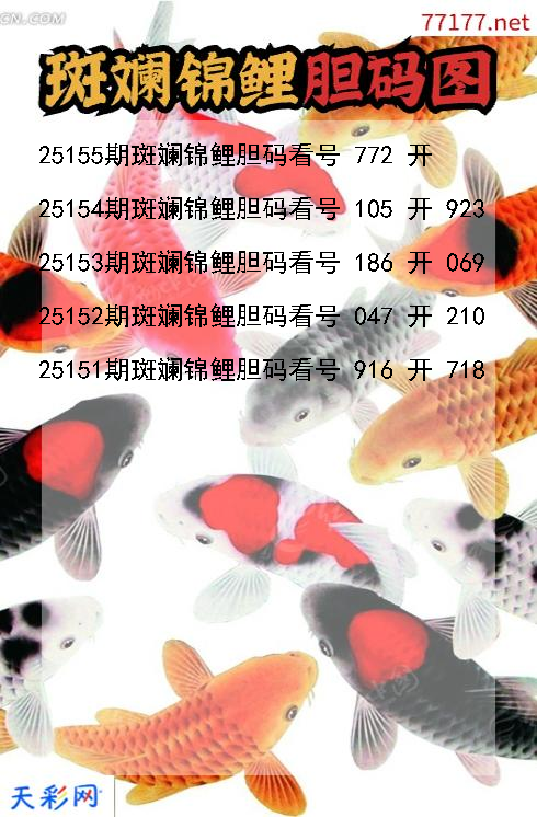 第25154期3d斑斓锦鲤胆码图