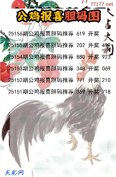 公鸡报喜25155期3d胆码图