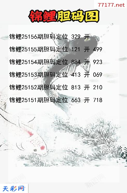 锦鲤25155期3d胆码图