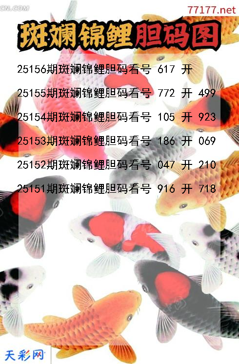 第25155期3d斑斓锦鲤胆码图