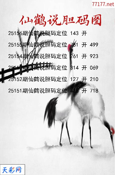 3d第25155期仙鹤说胆胆码图