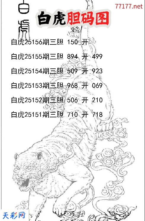 d白虎第25155期胆码图