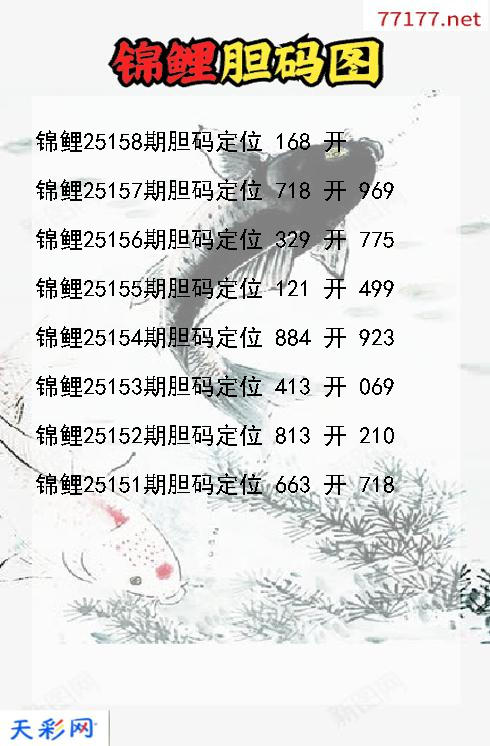 锦鲤25157期3d胆码图