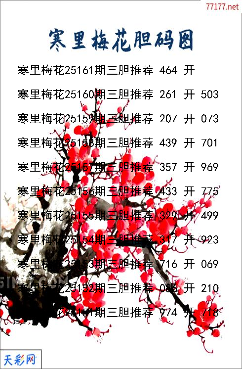 d寒里梅花第25160期胆码图