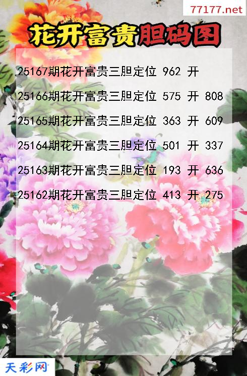 花开富贵第25166期福彩3d胆码图
