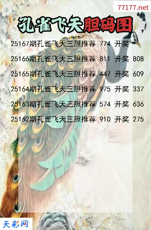 孔雀飞天25166期3d胆码图