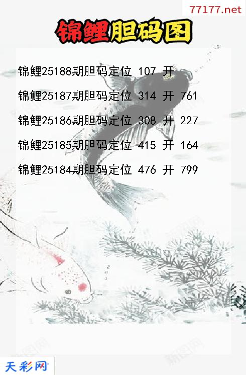 锦鲤25187期3d胆码图