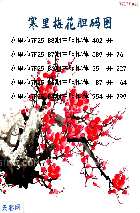 d寒里梅花第25187期胆码图