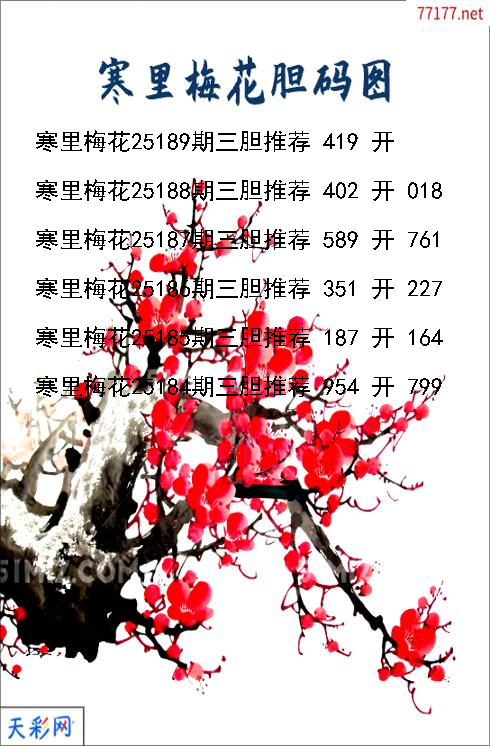 d寒里梅花第25188期胆码图