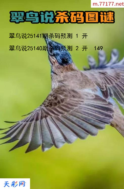 第25140期福彩3d翠鸟说杀码图谜