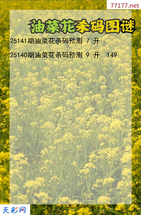 第25140期油菜花福彩3d杀码图谜
