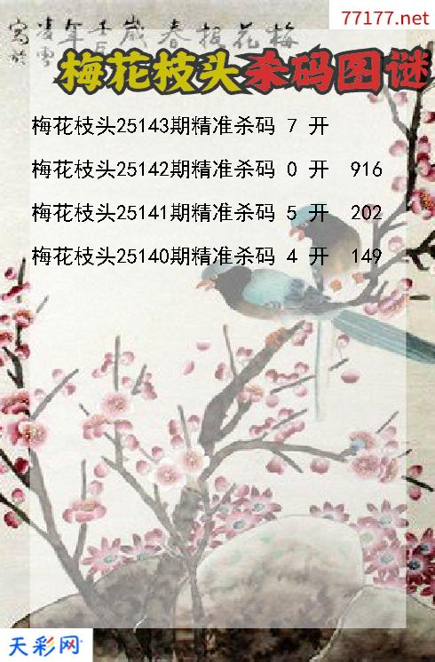 梅花枝头25142期3d杀码图谜