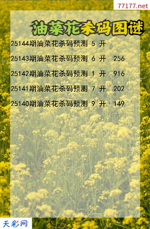 第25143期油菜花福彩3d杀码图谜
