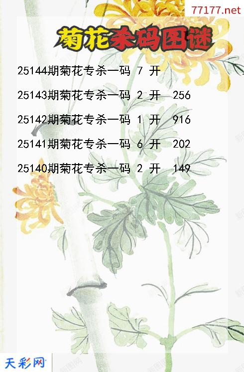 3d菊花第25143期杀码图谜