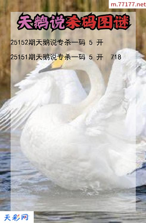 福彩3d天鹅说第25151期杀码图谜