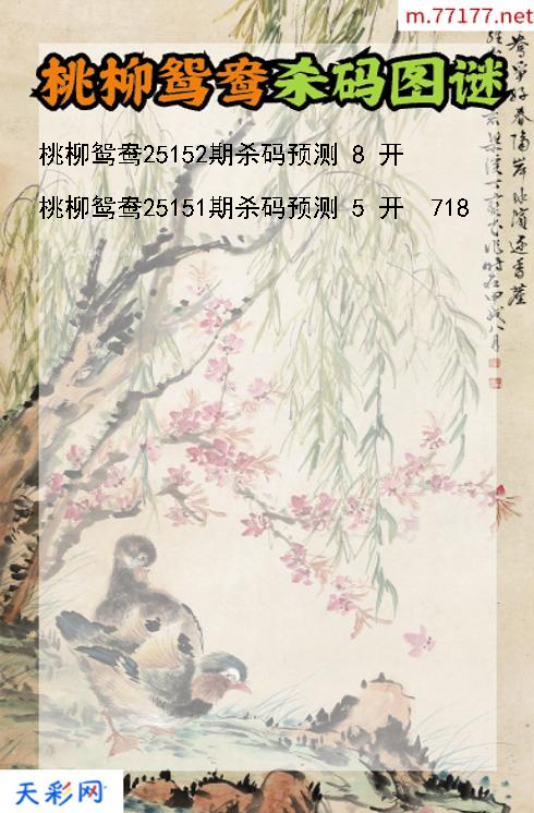 第25151期3d桃柳鸳鸯杀码图谜