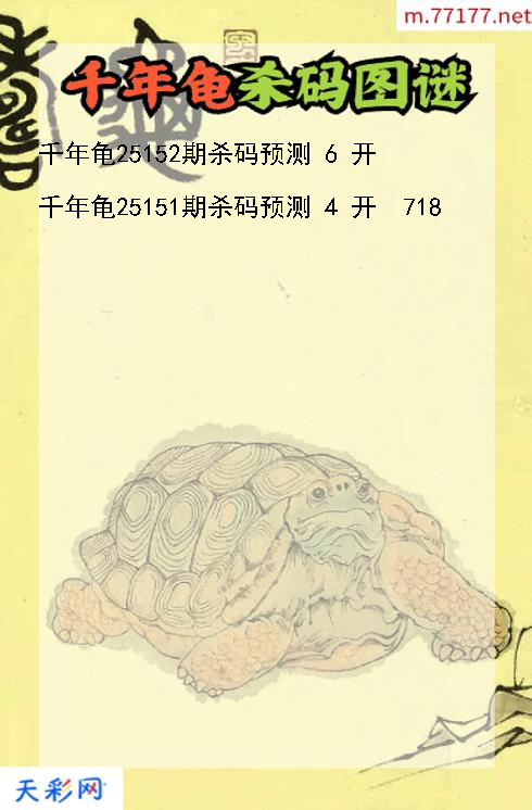 千年龟第25151期3d杀码图谜