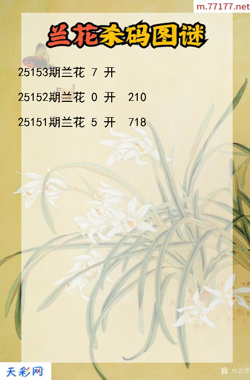 第25152期3d兰花杀码图谜