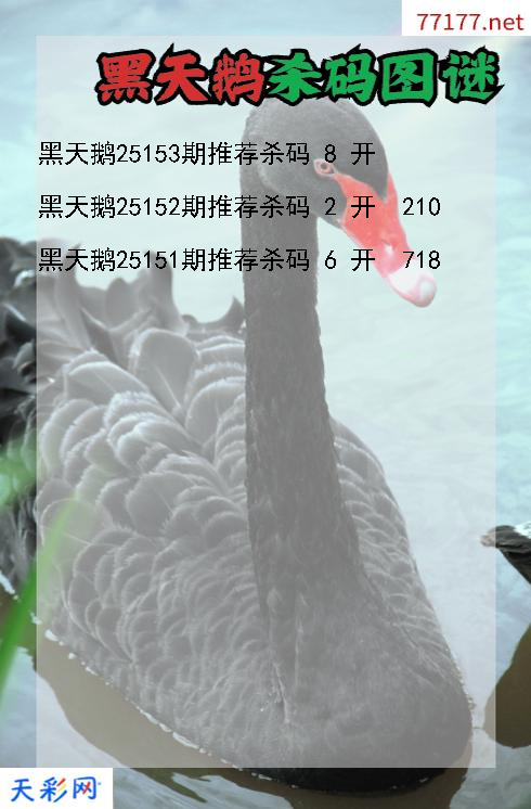 第25152期3d黑天鹅杀码图谜