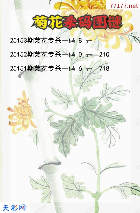3d菊花第25152期杀码图谜