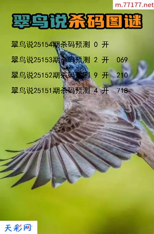 第25153期福彩3d翠鸟说杀码图谜