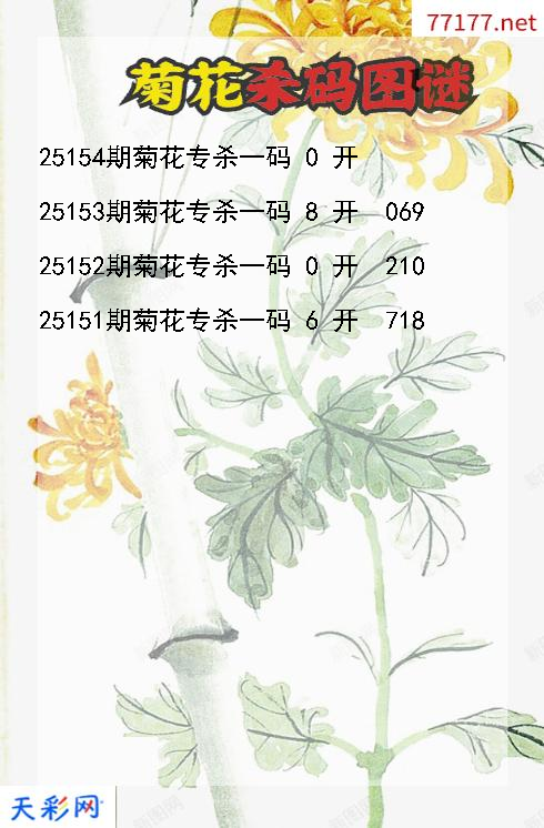 3d菊花第25153期杀码图谜