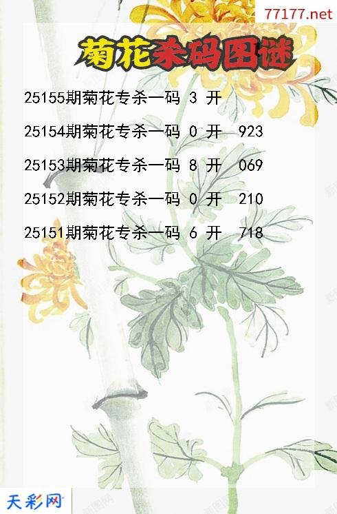 3d菊花第25154期杀码图谜