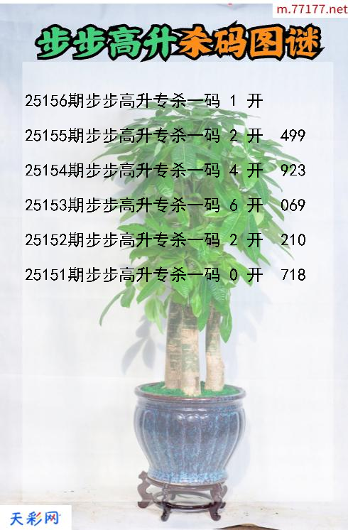 福彩3d步步高升第25155期杀码图谜