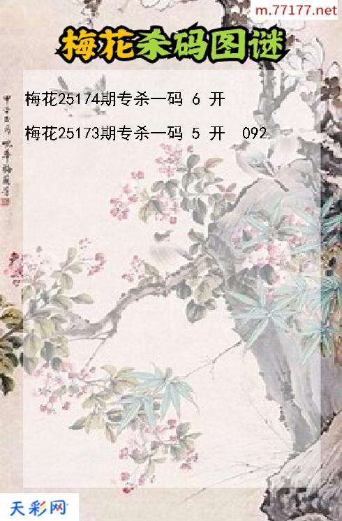 第25173期梅花福彩3d杀码图谜