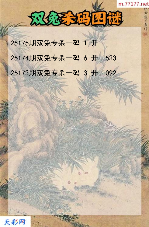 双兔第25174期3d杀码图谜