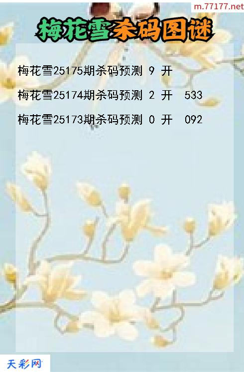 梅花雪25174期3d杀码图谜