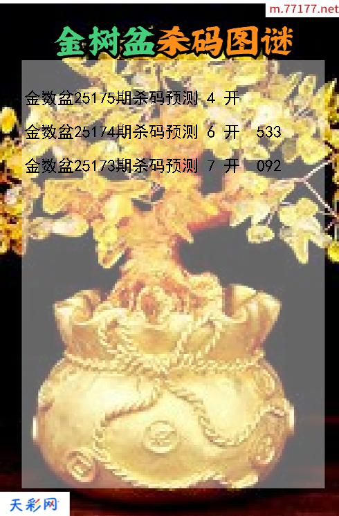 第25174期3d金数盆杀码图谜