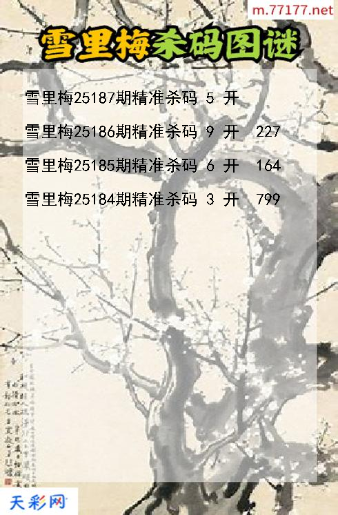 第25186期福彩3d雪里梅杀码图谜