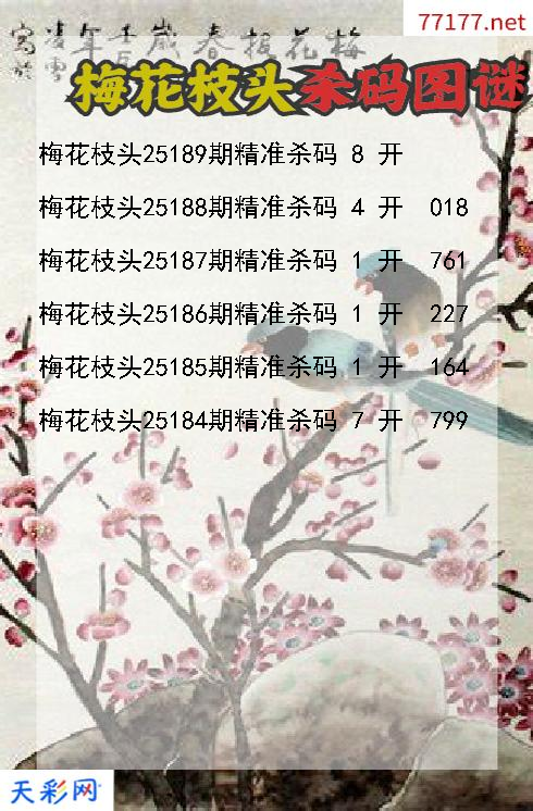 梅花枝头25188期3d杀码图谜