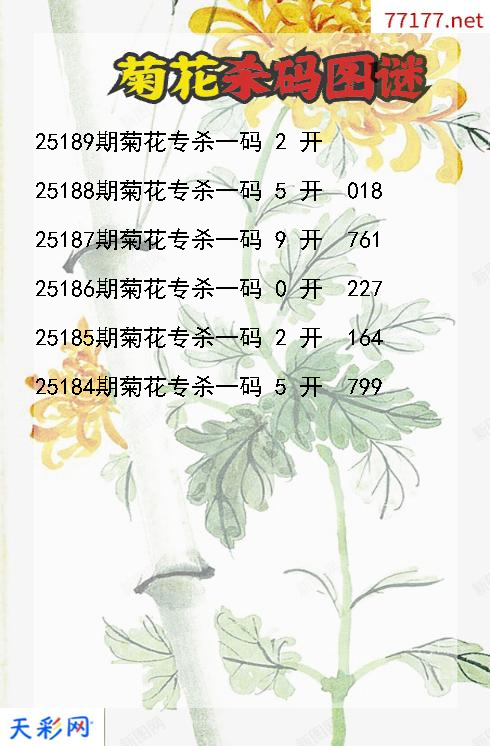 3d菊花第25188期杀码图谜