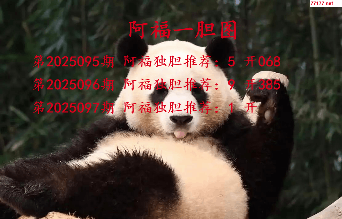 阿福图25年097期3d阿福一胆图