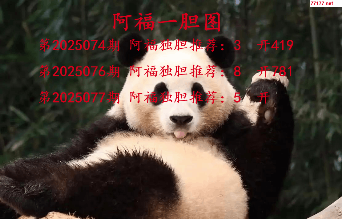 阿福图25年077期3d阿福一胆图