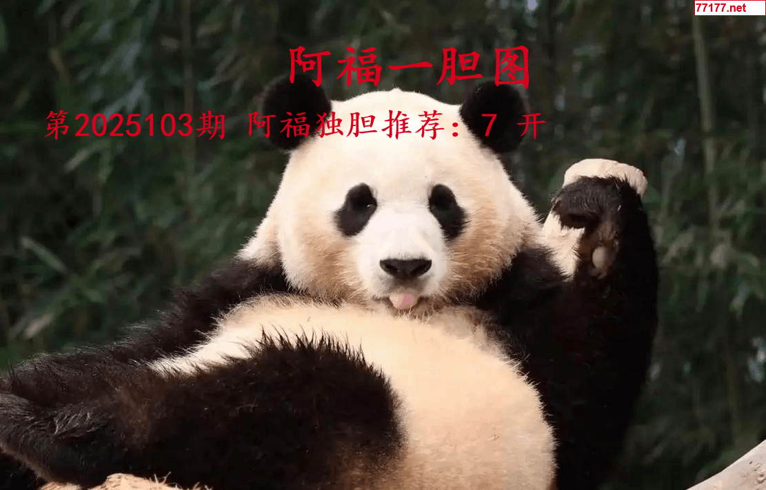 阿福图25年103期3d阿福一胆图